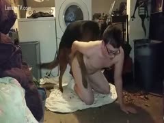Nerdy legal age teenager chap on his hands and knees as his Alsatian bonks his ass 